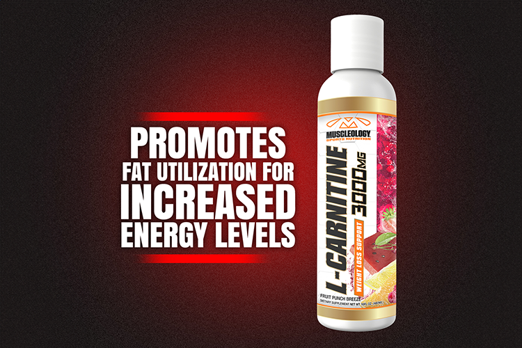 Does LCARNITINE Really Boost Workout Performance? Muscleology Sports