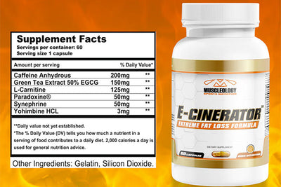 The Ultimate Guide to Protein for Muscle Building
