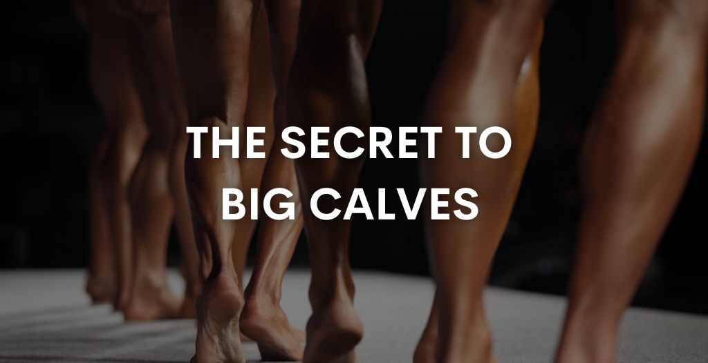 How to grow your calves The secret! Muscleology Sports Nutrition