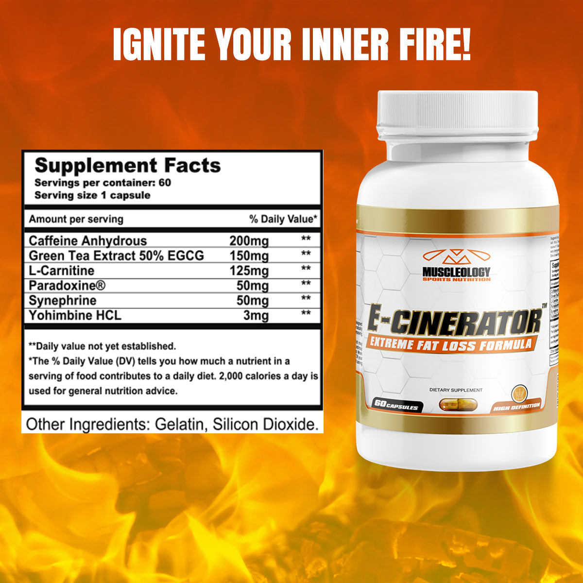 E-Cinerator and DPX Cuts – metabolism and water balance