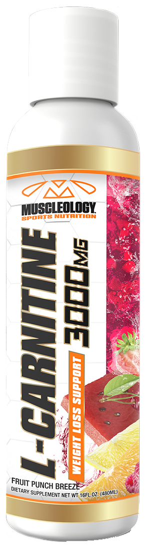best form of l carnitine for fat loss LCarnitine Liquid 3000 mg Fast Absorbing Energy Support best form of l carnitine for fat loss LCarnitine Liquid 3000 mg Fast Absorbing Energy Support